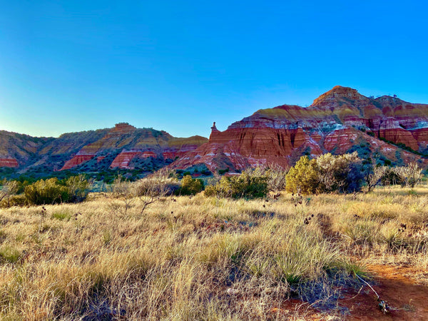 Top 20 State Parks to Visit in Texas and Why